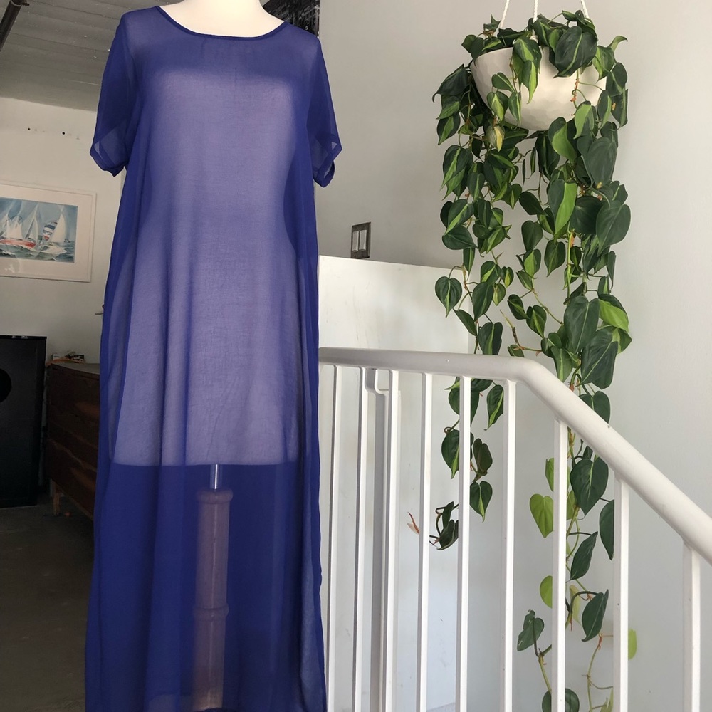 Sheer Vintage Maxi Dress